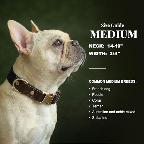 Image of Didog PU Leather Dog Collar for Medium Dogs, Soft Nylon Lining, Black M