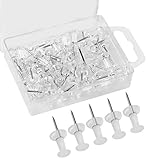 Berglink 50 Stück Transparente Reißzwecke in Klarsichtdose, Pinnwandnadeln reißnägel (Länge 2,4 cm, Kopfdurchmesser 8 mm)