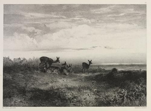 Tableau toile paysage de Karl Bodmer pour salon élégant nature 60x90cm