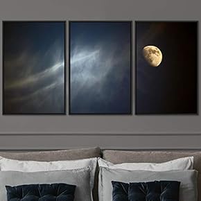signwin 3 Piece Framed Canvas Wall Art Lunar...