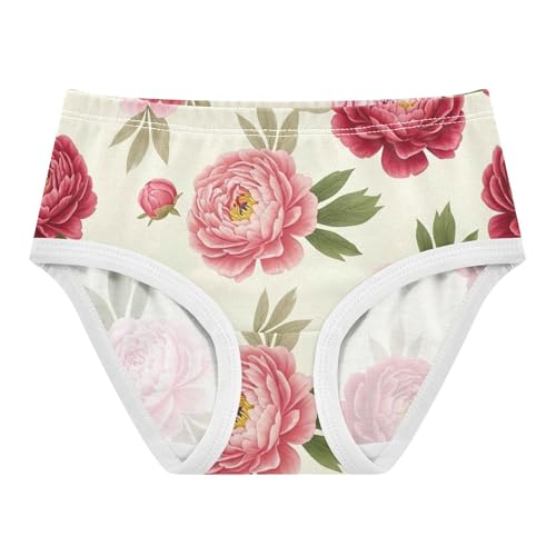 Aesthetic Girls Underwear Toddler 2t Cotton Cute Panties Girl Watercolor Pink Floral Red Flowers Briefs Undies Kids