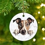 Unser Weihnachtsschmuck ist die perfekte Geschenkidee für Brautpartys, Babypartys, neue Verlobte, neue Häuser, Mutter, Vater, Schwester, Bruder, Onkel, Tante, Opa, Kollegen, Nachbarn, Freund.