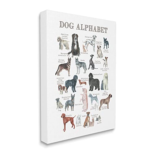 Image of Stupell Industries 'Dog Alphabet Multiple Breeds Educational'| Canvas Art | Stupell Industries | 30 x 40 Inches, Easy to Hang and Sturdy, Made in USA, by Dishique