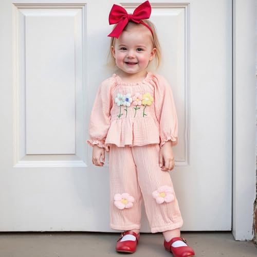 Amnnchya Toddler Baby Girl Outfits Infant Puff Sleeve Smocked Floral Tops Pants Cute Kids Girls Fall Winter Clothes Set (Pink, 18-24 Months)