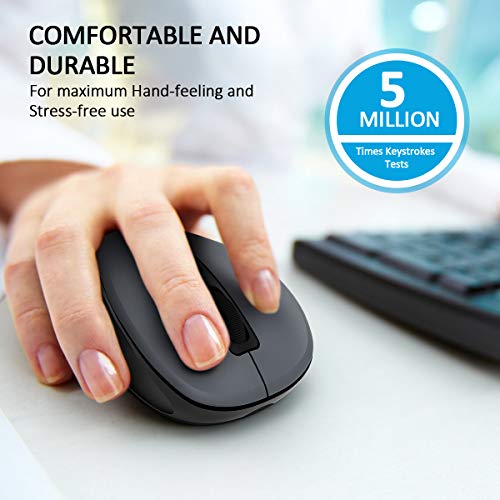 https://m.media-amazon.com/images/I/41Mp4WzzDAL._SL500_.jpg