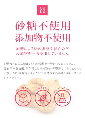 San'ta Rosa (サンタローサ) イチジク ドライフルーツ 100g の商品画像 6