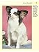Papillon: A Comprehensive Guide to Owning and Caring For Your Dog (CompanionHouse Books) Raising and Training a Papillon Puppy, with Breed History, Characteristics, and Dog Care Tips