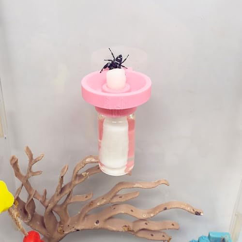 Jumping Spider Water Dispenser Magnetic Hanging Feeder Suitable for Jumping Spiders Tarantulas Praying Mantises Arboreal Animals and Other Small Animal Enclosure Accessories (Pink 5ML)