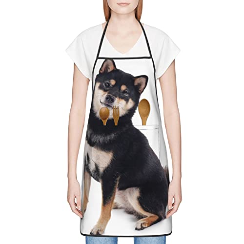 [Yuejh] | VvGv  eʃ|Pbg ɂ Vh~ Č   jp ۈ JtFXg  [NGv