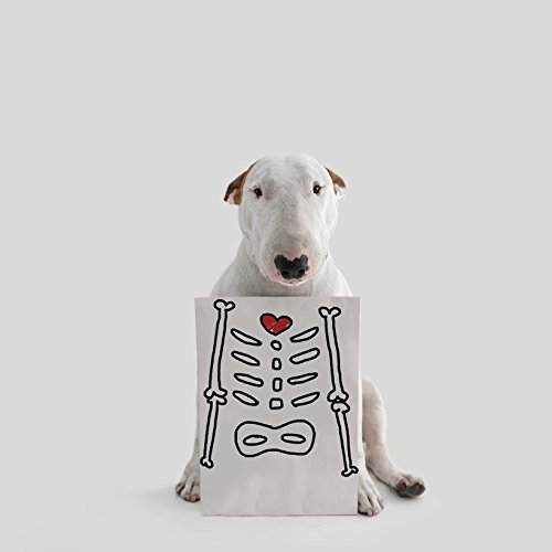 Um Cão Chamado Jimmy