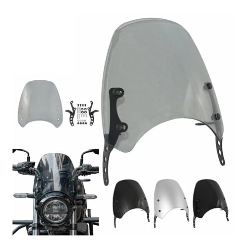 Pare-brise robuste avec support Eliminator 500 2024-2025 finition premium