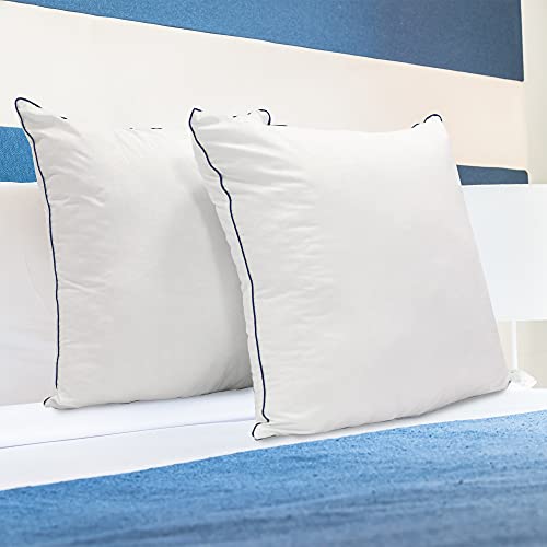 ZenPur Oreiller 60x60 Micro-Fibre Doux et Gonflant (Lot de 2)- Parfait pour Coussin Canape ou Coussin Lombaire - Oreiller Hotel Anti Acarien & Hypoallergenique - Accepte Une Taie Oreiller 65x65 Cover