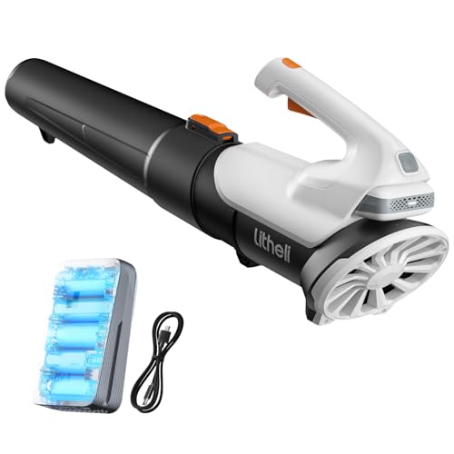 Litheli 20V Leaf Blower Cordless 2.0 Ah Battery Powered, 355CFM/85MPH & 2 Speed Levels, Handheld Electric Blowers for Lawn Care, Patio, Snow, Dust, Blowing Leaves