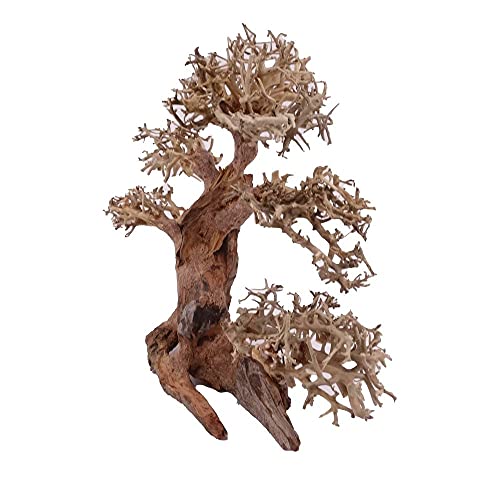 XL Bonsai boom nr. 12025 wortel hout aquarium deco aquascaping bonsai boom decoratie landschap mos natuur - Afbeelding 3