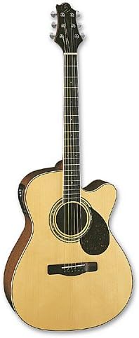 Greg Bennett Worthington Om 5Ce Acoustic Guitar - Natural