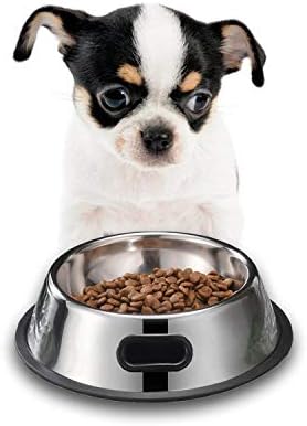 SUOXU Dog Bowl,2 Stainless Steel Feeder Dog Bowl,Dog Plate Bowls With Non-slip Rubber Bases Small Dog Cat Pet For Feeding Water and Food Bowl