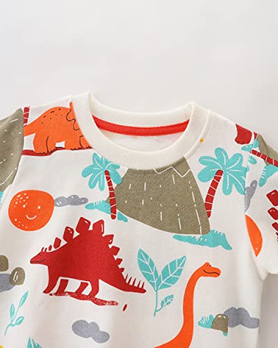 Image of AIWUHE Toddler Cotton Sweatshirt Boys Girls Pullover Long Sleeve Tops 2-6Y