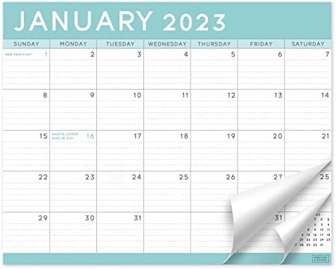 S&O Teal Magnetic 2023 Fridge Calendar from July 2022-Dec 2023 - Tear-Off Refrigerator Calendar to Track Events & Appointments - 18 Month Magnetic Calendar for Fridge for Easy Planning-8"x10" in.