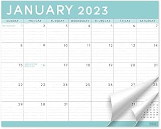 S&O Teal Magnetic 2023 Fridge Calendar from July 2022-Dec 2023 - Tear-Off Refrigerator Calendar to Track Events & Appointments - 18 Month Magnetic Calendar for Fridge for Easy Planning-8"x10" in.