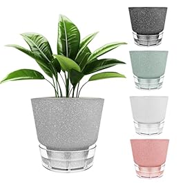 6-Inch Self-Watering...