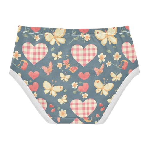 Wusikd Gingham Hearts Girls' Underwear Cotton Butterflies Girls Briefs Soft Toddler Underwear 2T2