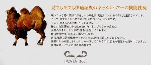 Amazon.co.jp: イワタ キャメル敷パッド／イオゾンデルタ／ダブル
