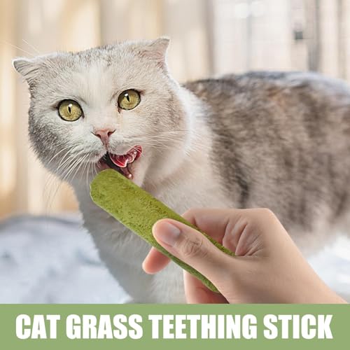 Bastão de dentição de grama para gatos, guloseimas de grama para gatos, 6X petisco natural para gato