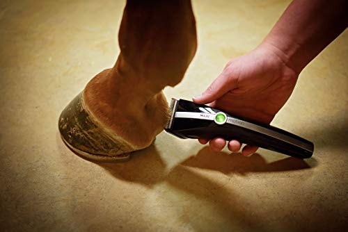 wahl professional animal motion pet