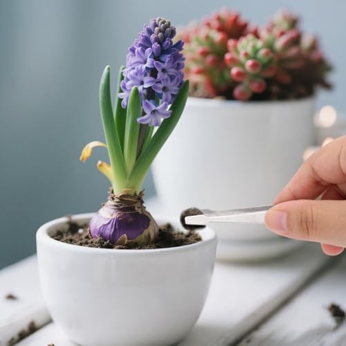 Set de 5 pinzas y tijeras de jardinería de acero inox miniatura 6