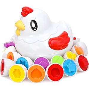 JoyGrow Matching Eggs Color&Shape Recognition Sorter Puzzle Skills Educational Toys for Kids and Toddler to Learn Color and Shape (Chicken)