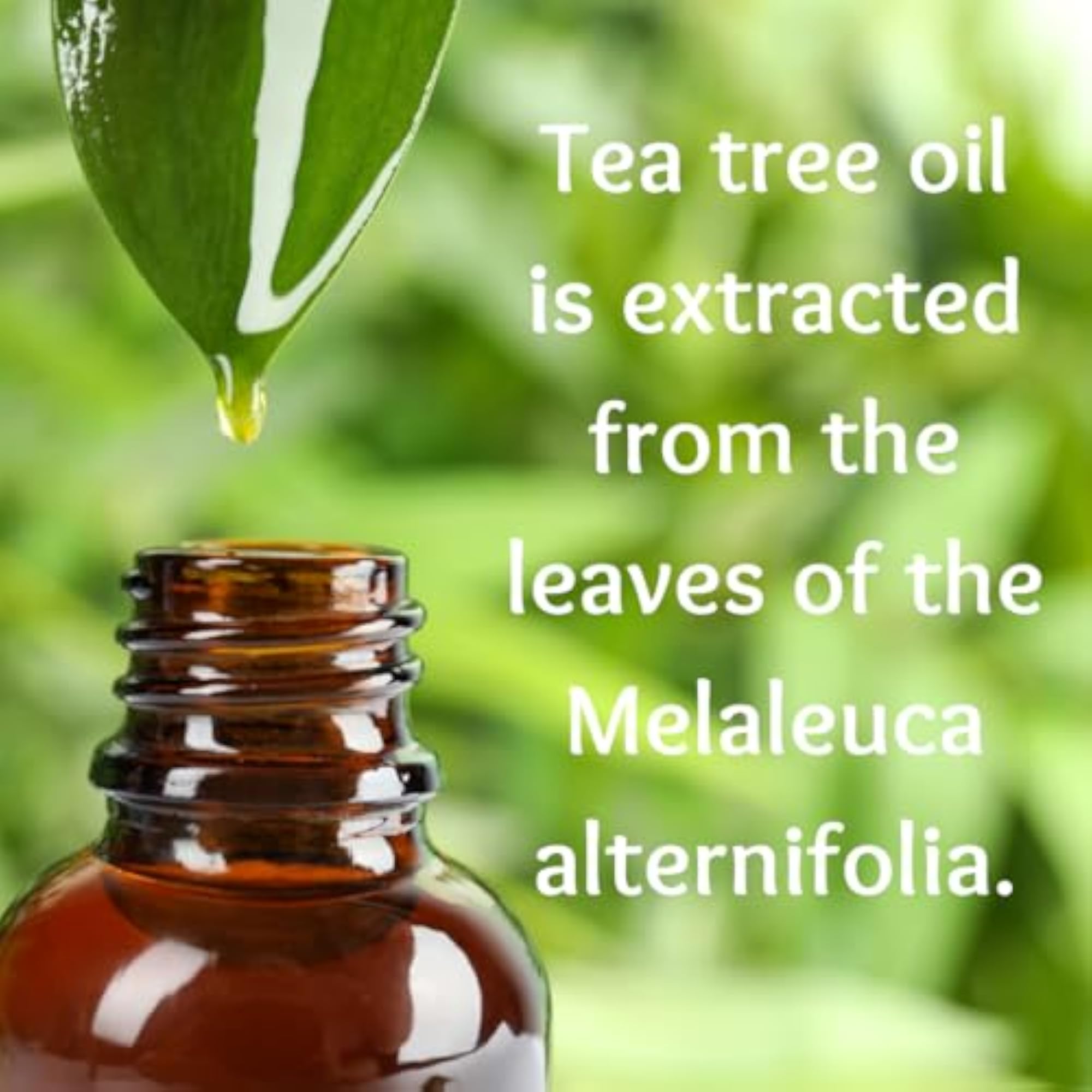 Atvi.fit Tea Tree Oil for Skin and Hair Care