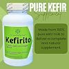 Pure Kefir Probiotic Supplement 50 Billion CFU - Kefirito 7 Strains Kefiran 60 Capsules - Probiotics for Women and Men - Digestive Enzymes Supports Akkermansia 1 Month Supply The Spirit of The Forest