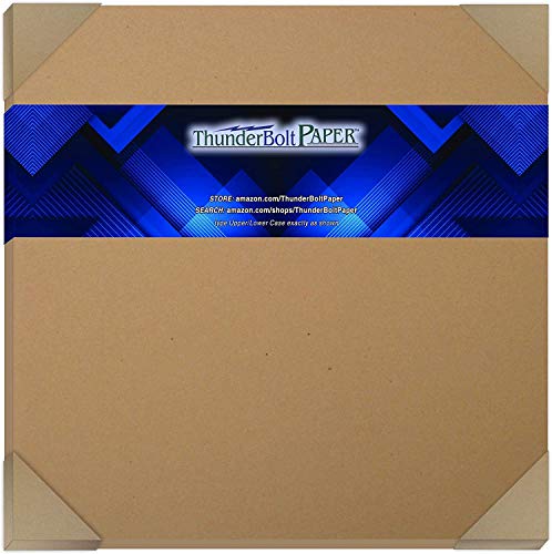 100 Brown Kraft Fiber 80# Cover Paper Sheets - 12" X 12" (12X12 Inches) Scrapbook Album|Cover Size - Rich Earthy Color With Natural Fibers - 80Lb/Pound Cardstock - Smooth Finish #TOP14