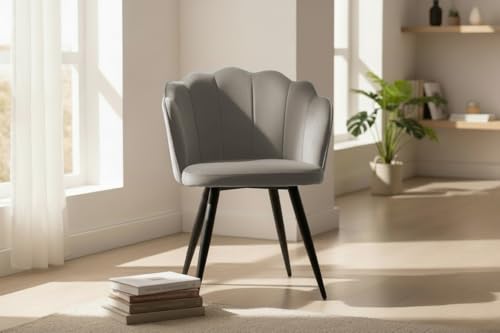 Image of Finch Fox Blake Luxurious Home Collection Dining Room Chairs in Beige Velvet Material & Stylish Design with Black Metal Powder Coated Legs