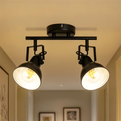 Image of HiBay LED Track Lighting Fixtures, Rotatable 2-Light Spot Light Black