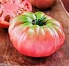 Bonnie Plants German Johnson Heirloom Tomato, Live Plant, 19.3 oz., 4-Pack #1