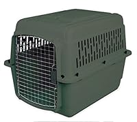 Algopix Similar Product 6 - Petmate Aspen Pet Porter Fashion Kennel