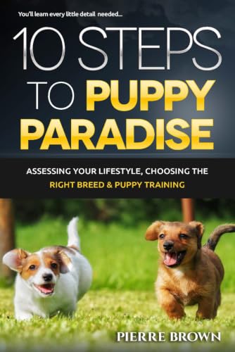 10 Steps To Puppy Paradise (Paws & Reflect: The Comprehensive Guide to Canine Companionship)