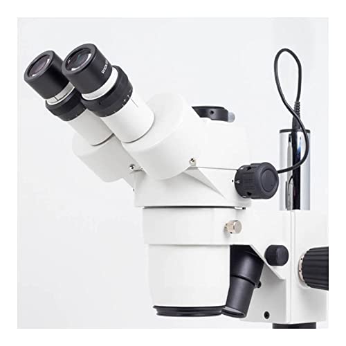 Image of Motic 1100200500451 Smz-168 Tiled Stereo Zoom Trinocular