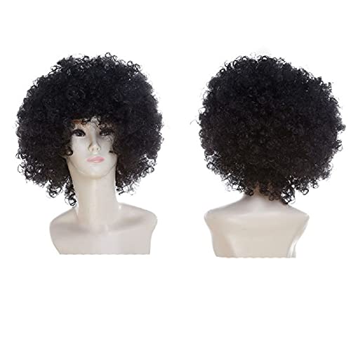 Afro Curly Clown Wig, Christmas Halloween Costume Cosplay Party Hair Wigs for Kids, Black