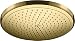 Produktbild hansgrohe wassersparender Duschkopf Croma 280, Kopfbrause/Regendusche rund, 1 Strahlart, Polished Gold Optik