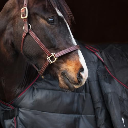 Couverture d'extérieur Dual Pro Catago 100g imperméable et indéchirable - 4
