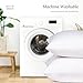 puredown® Natural Feather Down Throw Pillow Inserts 20 x 20 (Set of 2, White), Décor Pillow for Couch, Chairs, Office, Apartments