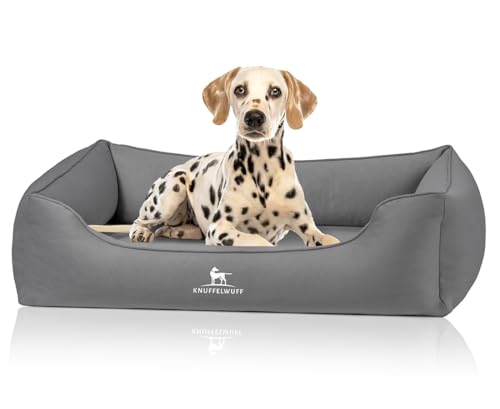 Knuffelwuff orthopädisches Hundebett Oliver, M-L - Dunkelgrau | Easy Clean Wildlederoptik | Memory Foam | wasserabweisend waschbar | gelenkschonend robust für kleine bis große Hunde