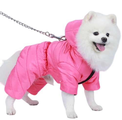 LamanttAH~p̖̌ȓR[gAefBArVA|jAȂǂ̏^ɍœKAgĥl̕AybgpiAybg̕B ([Ybh,XL)