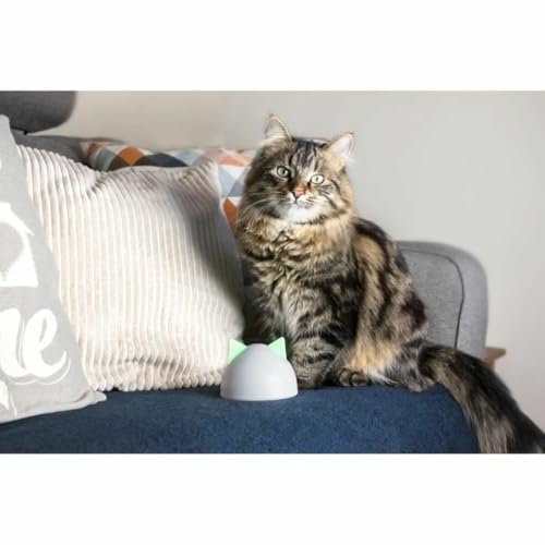 Sure Petcare Hub, kompatibel mit der SureFlap Mikrochip-Haustierklappe Connect/Mikrochip-Katzenklappe Connect, dem SureFeed Mikrochip-Futterautomaten Connect, Felaqua Connect, mit App, weiß