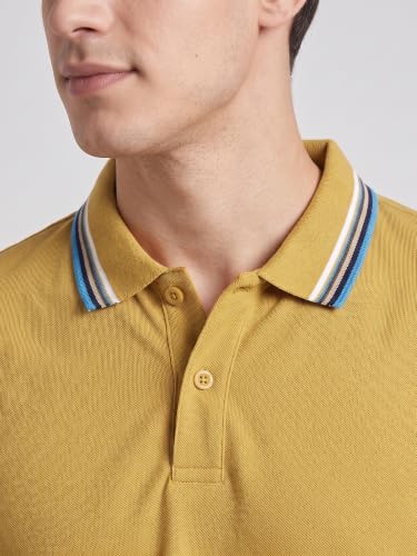 Image of XENOVAURBAN Polo t Shirt for Man | Striped Pattern Mens Cotton Polo Neck T-Shirt with Collar | Regular fit | Breathable and Soft - Polo-Striped-P