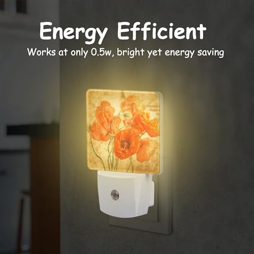 Image of Vintage Orange Flowers Night Light Plug Wall,Poppy Bouquet Oil Painting LED Night Lights with Dusk to Dawn Light Sensor for Women Girls Boys Room Decor,Hallway,Kitchen,Bathroom,Nursery,Stairs