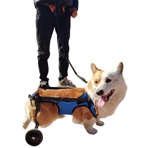 犬用車椅子」の人気商品一覧・価格比較 - 価格.com