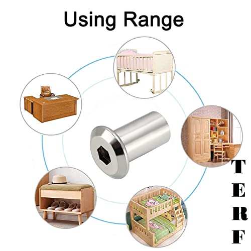 TERF® Dadi M6 x 17 mm M6 (6 mm) x 17 mm, bulloni